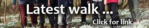 Walking